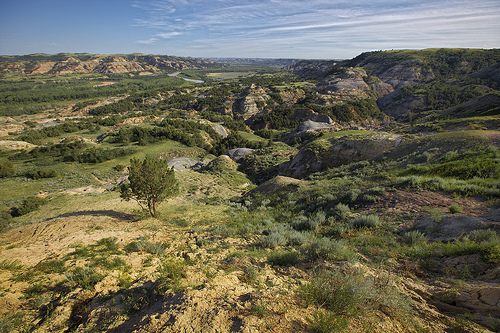 Национальный Парк Теодор-Рузвельт (Theodore Roosevelt)